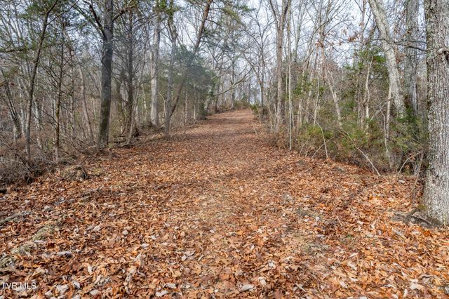 355 North Austin Springs Road, Piney Flats, TN 37686