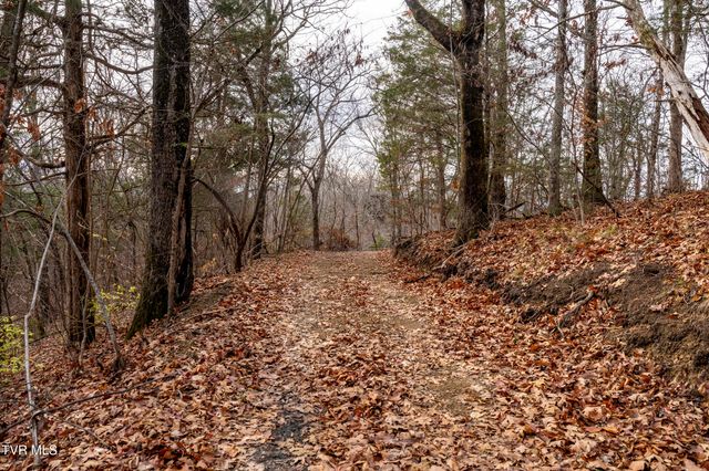 355 North Austin Springs Road, Piney Flats, TN 37686