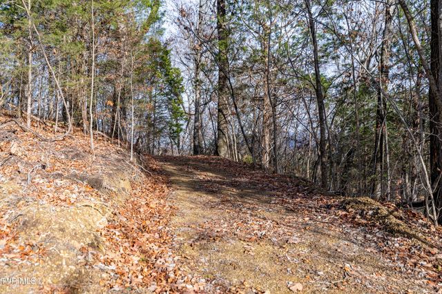 355 North Austin Springs Road, Piney Flats, TN 37686