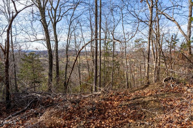 355 North Austin Springs Road, Piney Flats, TN 37686