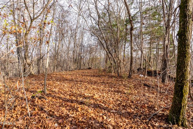 355 North Austin Springs Road, Piney Flats, TN 37686