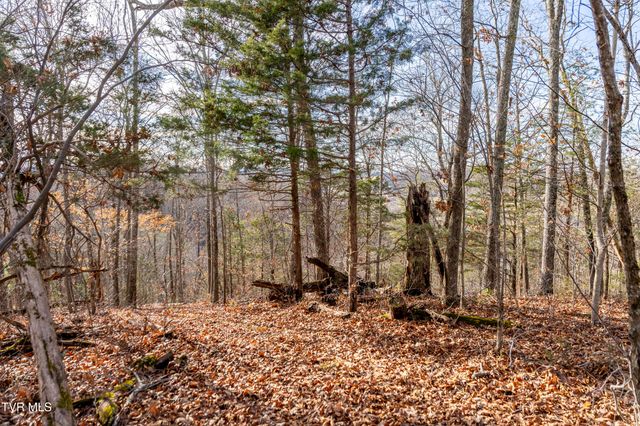 355 North Austin Springs Road, Piney Flats, TN 37686