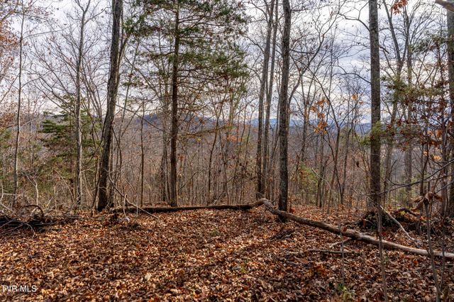 355 North Austin Springs Road, Piney Flats, TN 37686