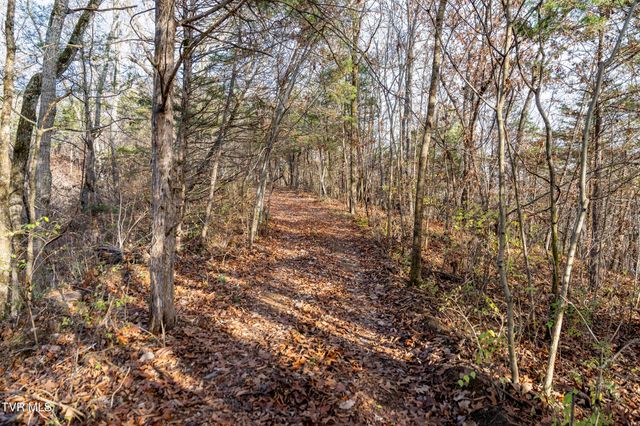 355 North Austin Springs Road, Piney Flats, TN 37686