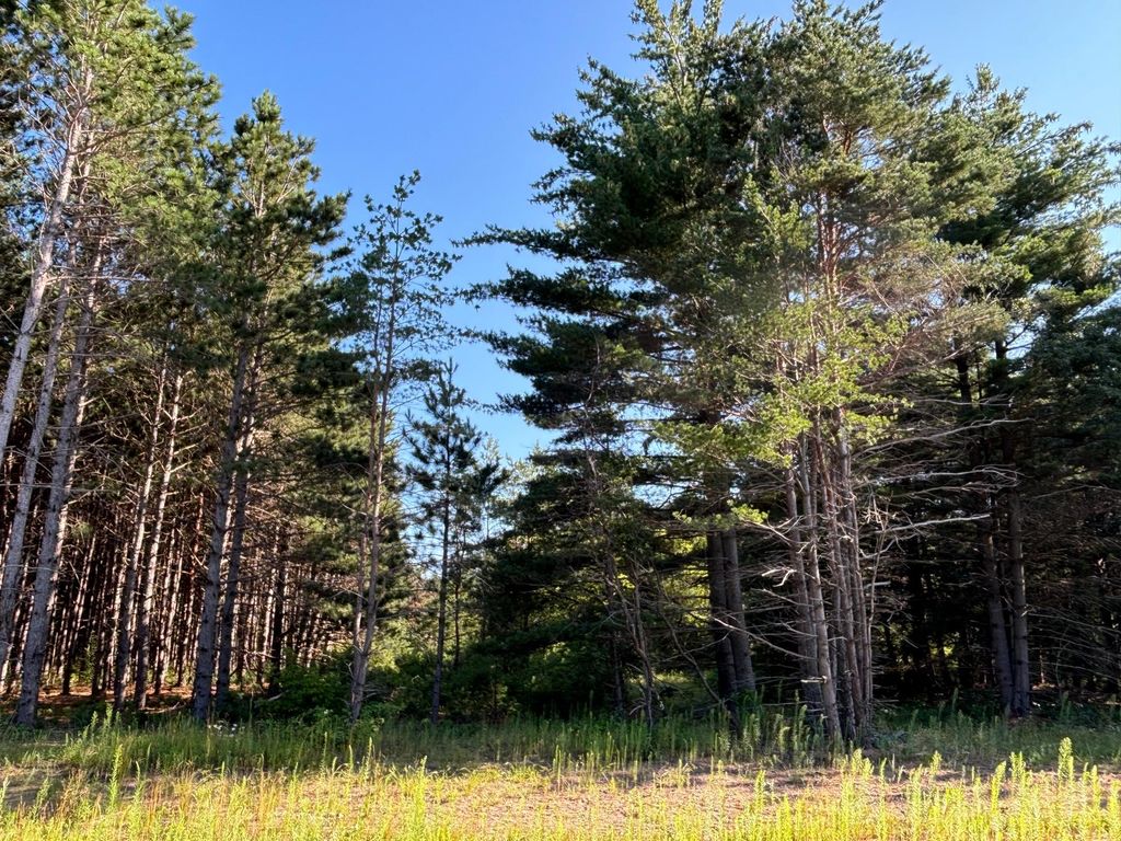 L5,Blk1 262nd Avenue NW, Orrock Twp, MN 55309