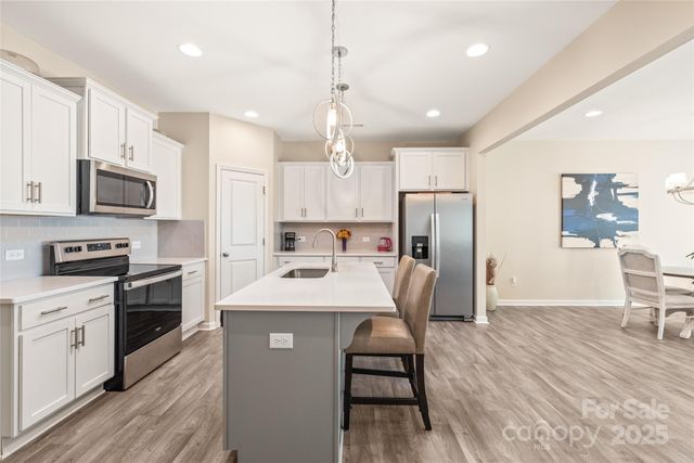 13221 Gadwal Pintail Drive, Charlotte, NC 28262