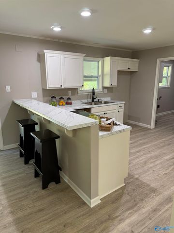 89 Woodland Avenue, Trinity, AL 35673