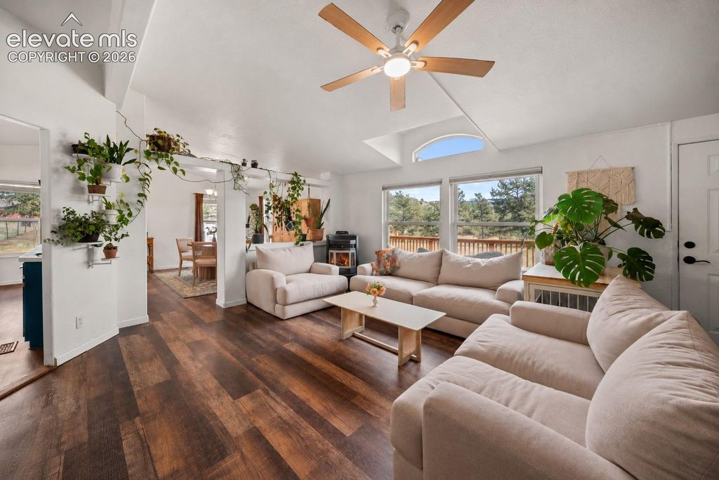 464 Hackamore Drive, Florissant, CO 80816 — photo 5