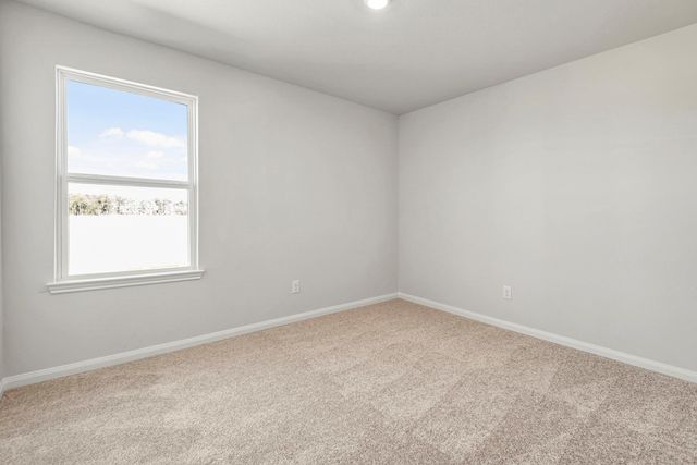 8202 Burnt Orchid Drive, Houston, TX 77016