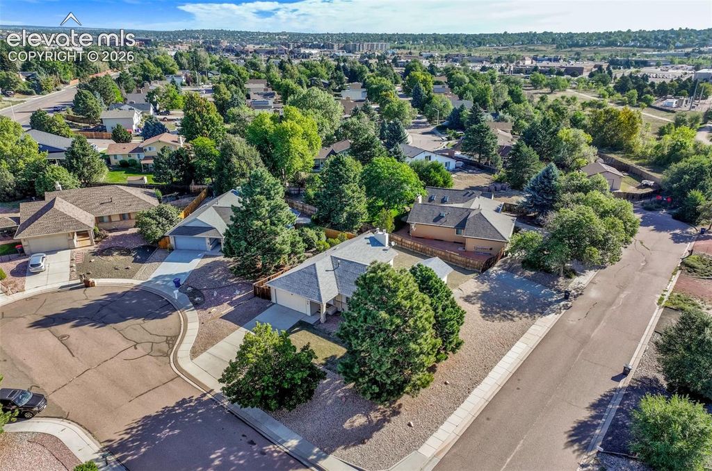 2505 Seright Court, Colorado Springs, CO 80915 — photo 5