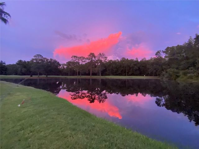 16026 SHINNECOCK DRIVE, Odessa, FL 33556