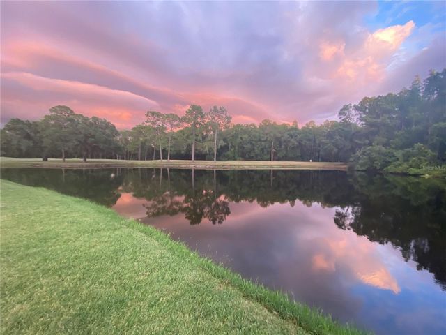 16026 SHINNECOCK DRIVE, Odessa, FL 33556