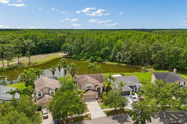 16026 SHINNECOCK DRIVE, Odessa, FL 33556