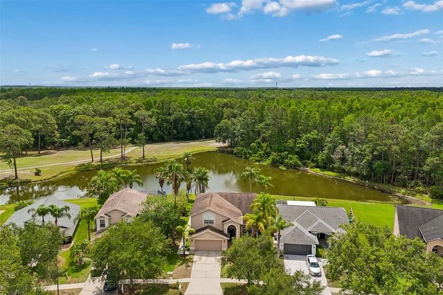 16026 SHINNECOCK DRIVE, Odessa, FL 33556