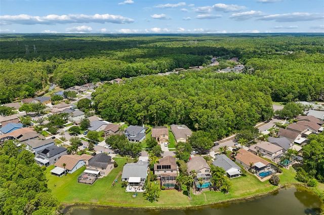 16026 SHINNECOCK DRIVE, Odessa, FL 33556