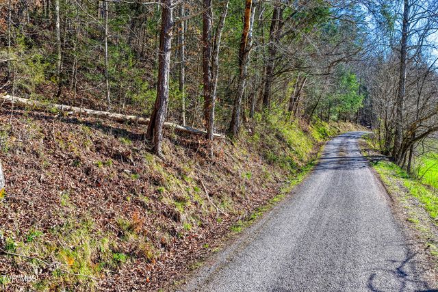 Tbd War Valley Road, Rogersville, TN 37857