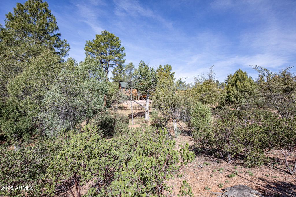 Image 55 of property listing at 501 N Chaparral Pines Drive, Payson, AZ 85541