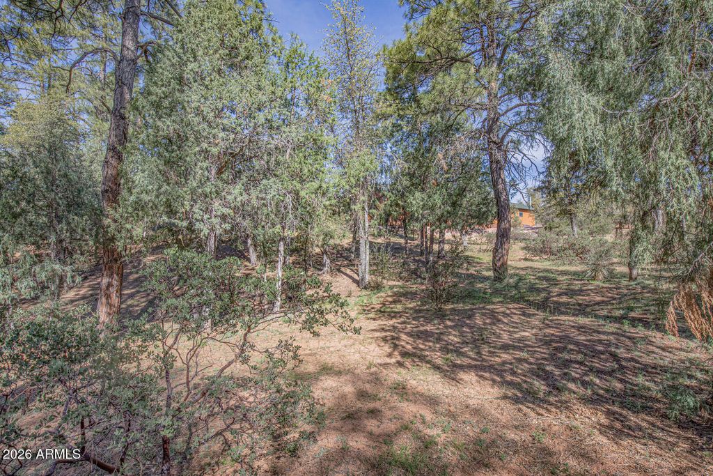 Image 57 of property listing at 501 N Chaparral Pines Drive, Payson, AZ 85541