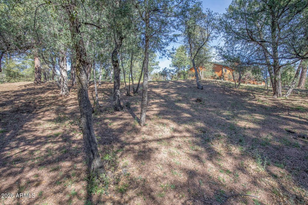 Image 58 of property listing at 501 N Chaparral Pines Drive, Payson, AZ 85541