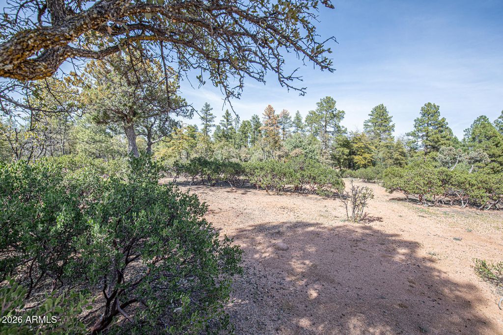 Image 60 of property listing at 501 N Chaparral Pines Drive, Payson, AZ 85541