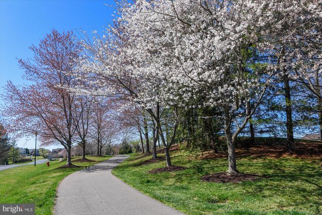 18415 KINGSMILL ST, Leesburg, VA 20176