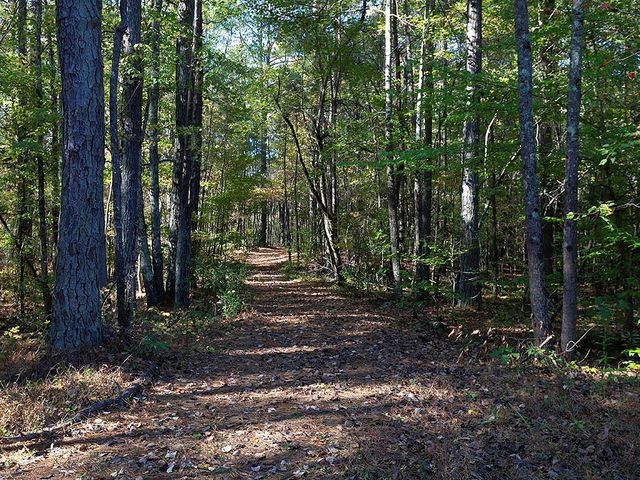 196 Pope Place, Dallas, GA 30157