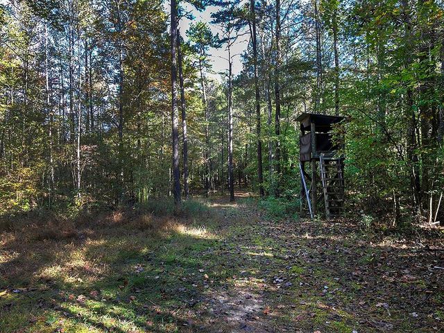 196 Pope Place, Dallas, GA 30157