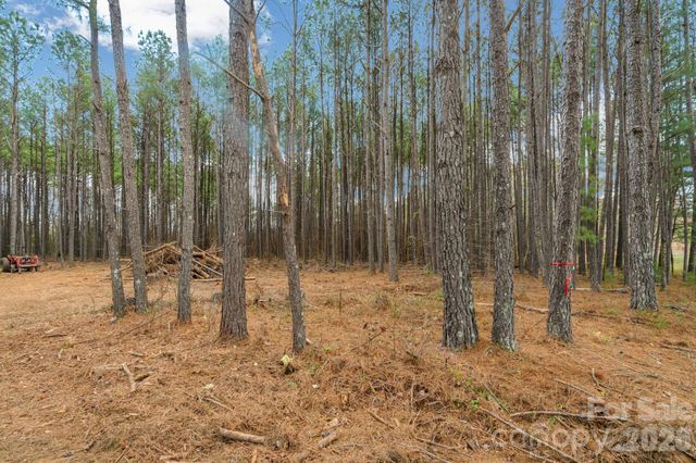 000 Horace Price Road, Pageland, SC 29728