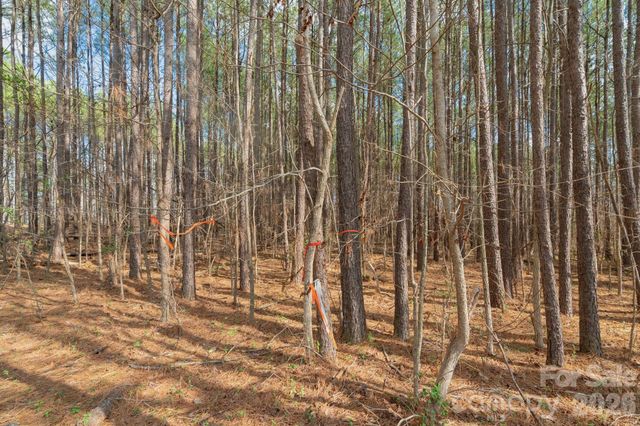 000 Horace Price Road, Pageland, SC 29728