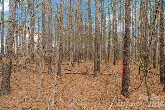 000 Horace Price Road, Pageland, SC 29728