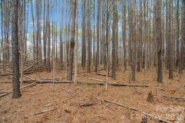 000 Horace Price Road, Pageland, SC 29728