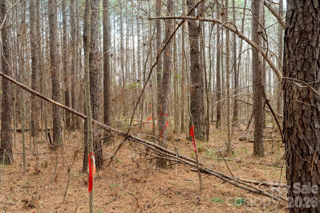 000 Horace Price Road, Pageland, SC 29728