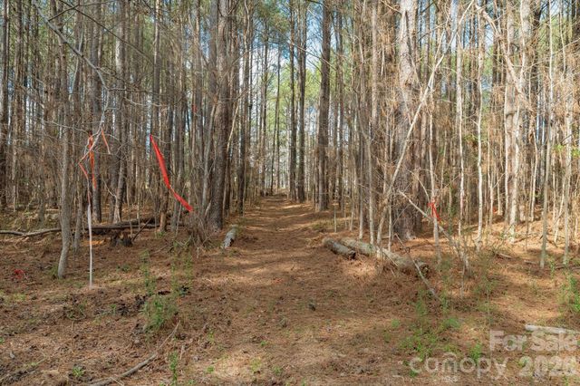 000 Horace Price Road, Pageland, SC 29728