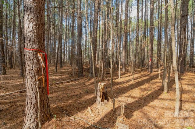 000 Horace Price Road, Pageland, SC 29728