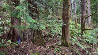 20 Hillside Place, Bellingham, WA 98229
