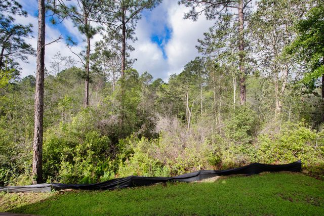 303 Key Lime Place, Crestview, FL 32536