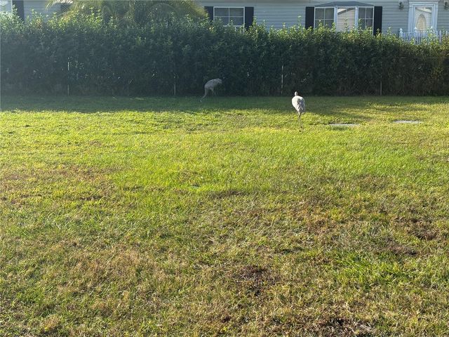 16788 SE 69TH LANE, Ocklawaha, FL 32179