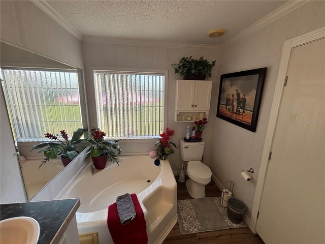 16788 SE 69TH LANE, Ocklawaha, FL 32179