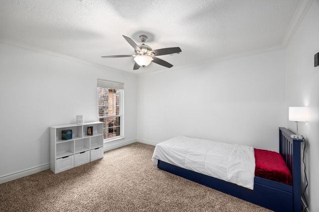 14206 Locke Lane, Houston, TX 77077