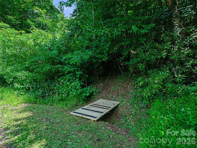0000 Deep Gap Road, Burnsville, NC 28714