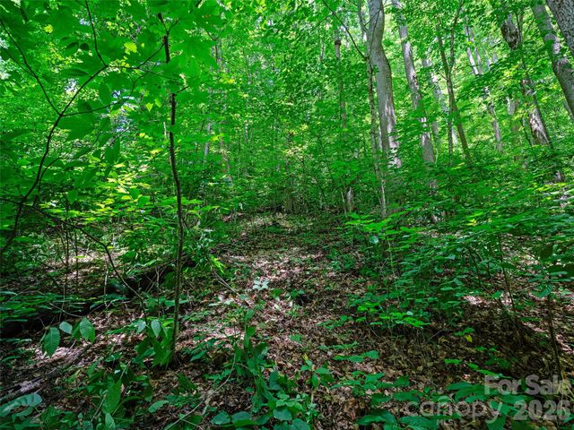 0000 Deep Gap Road, Burnsville, NC 28714