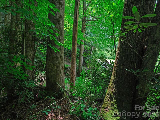0000 Deep Gap Road, Burnsville, NC 28714