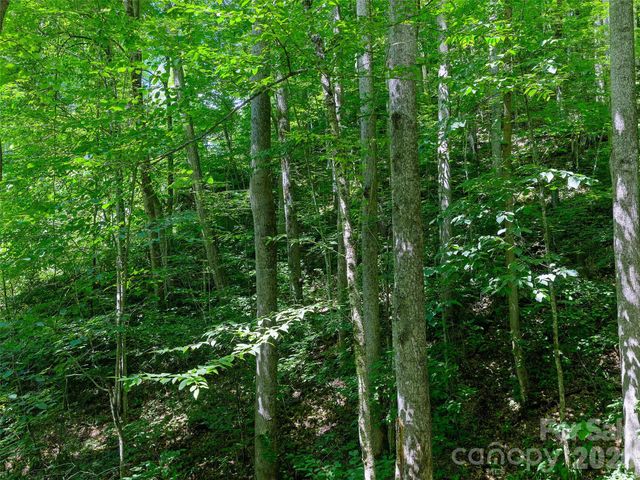 0000 Deep Gap Road, Burnsville, NC 28714