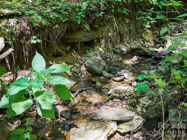 0000 Deep Gap Road, Burnsville, NC 28714