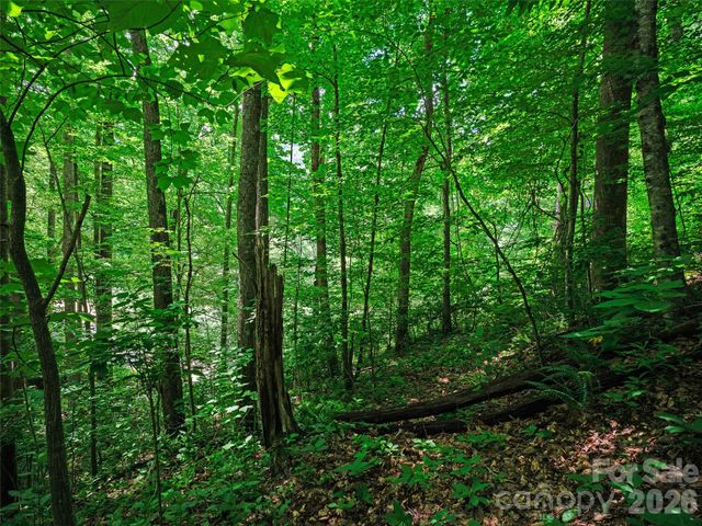 0000 Deep Gap Road, Burnsville, NC 28714