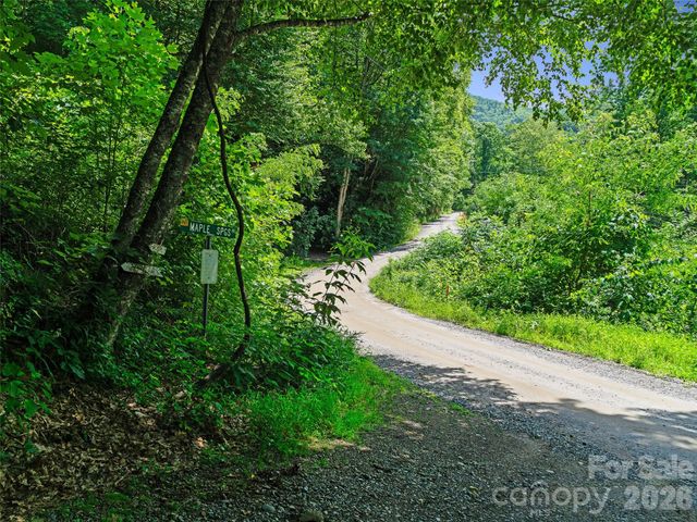 0000 Deep Gap Road, Burnsville, NC 28714