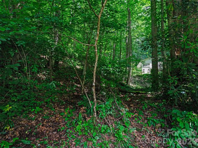 0000 Deep Gap Road, Burnsville, NC 28714