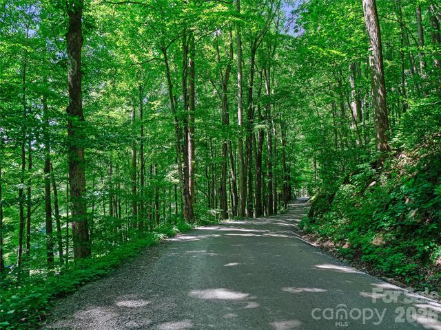 0000 Deep Gap Road, Burnsville, NC 28714
