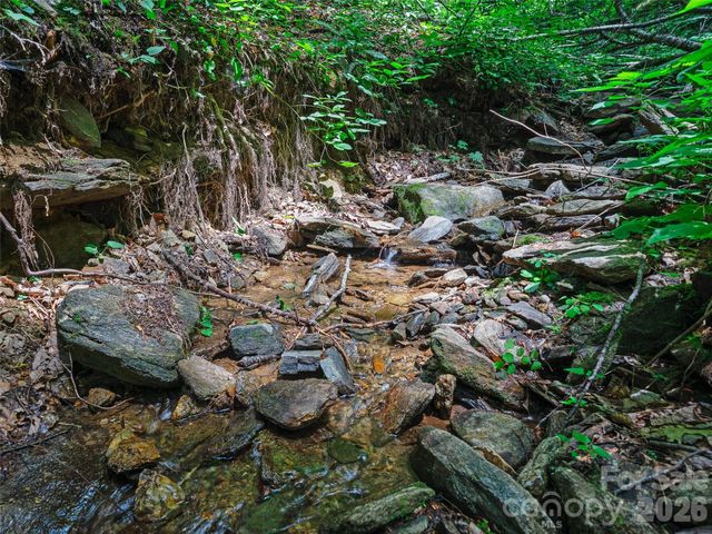 0000 Deep Gap Road, Burnsville, NC 28714