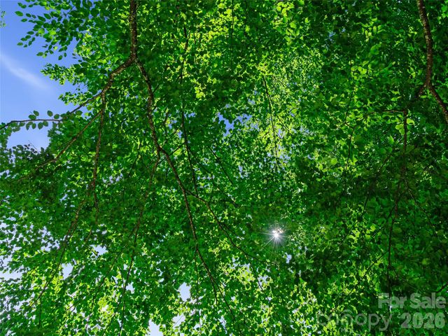 0000 Deep Gap Road, Burnsville, NC 28714